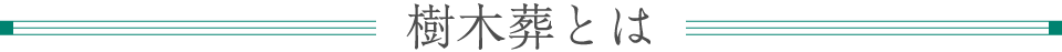 樹木葬とは